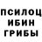 Псилоцибиновые грибы прущие грибы Solja Sold