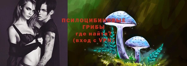 гашик Балахна