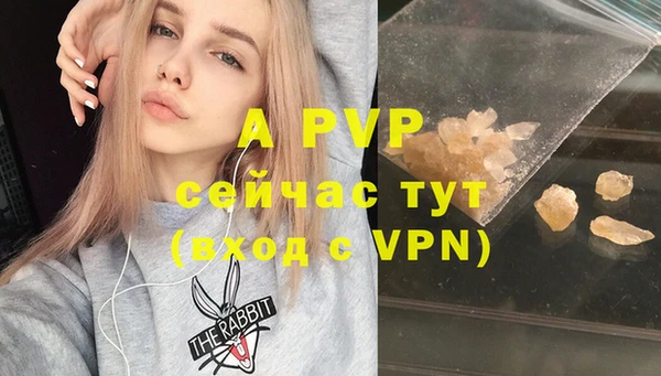 гашик Балахна