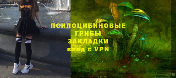 гашик Балахна