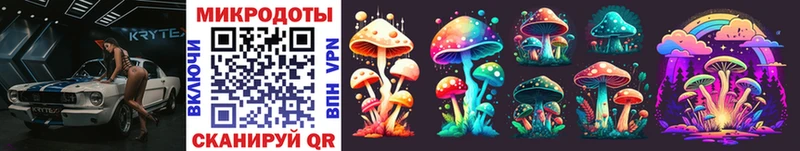 Псилоцибиновые грибы Psilocybe дарнет шоп Новый Оскол